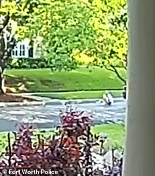The kidnapper shoved Salem's mother out of the car before driving off as she frantically called 911, screaming: 'Help me please, someone call the police, my daughter just got kidnapped