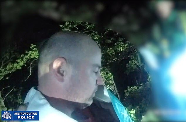 Footage released by police shows McCann's arrest after he hid up a tree after going on the run