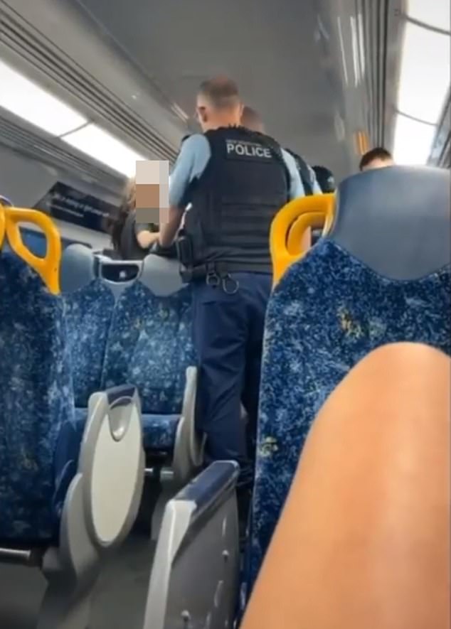 A NSW Police spokeswoman told Daily Mail Australia a group of six young people were removed from the train (pictured)