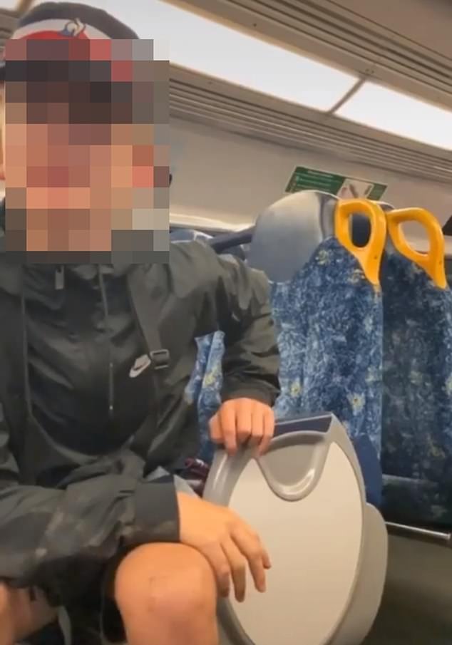 One boy in a baseball cap approached Ms Pulcins as she filmed. 'What drugs have you taken?' she asked. 'Acid, MDMA, G and meth,' he bragged
