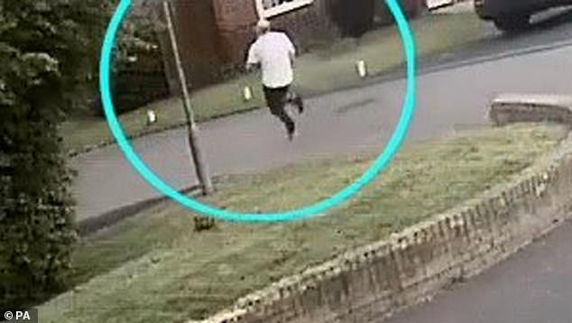 McCann tried to run from police, pictured, before finally being arrested by officers