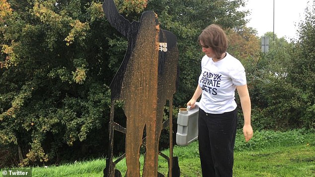 Ms Budd tried to justify her desecration of the memorial by claiming that 'every time one [private jet] takes off, it pours a bucket of sh*t and blood onto everything that Captain Tom stood for
