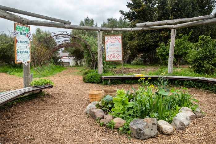 an edible school yard sitting empty