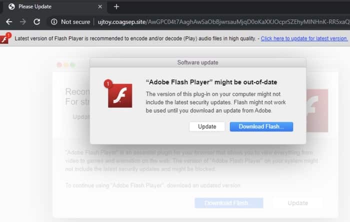 Fake flash update